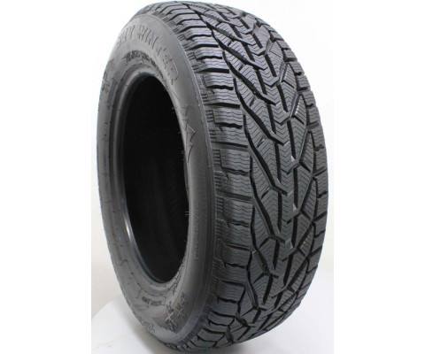 Riken Snow 195/55 R16 87H
