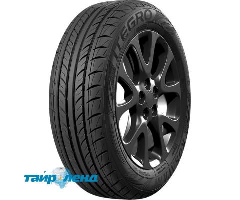 Росава Itegro 205/55 R16 91V